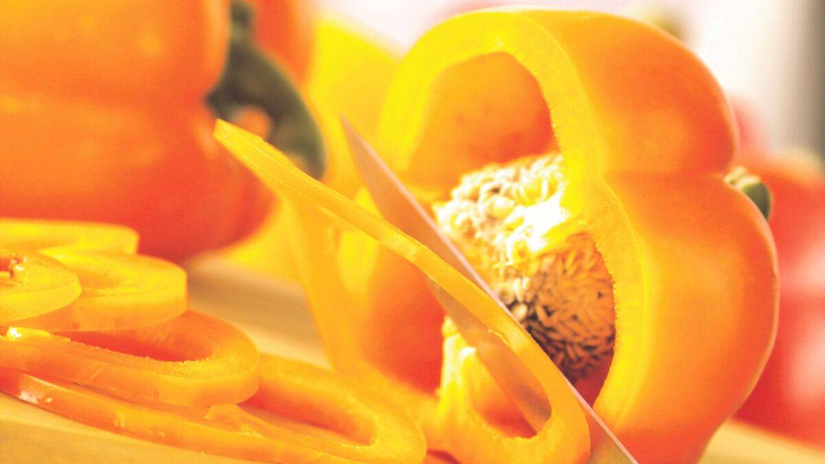 2-Fito-California amarillo (6)-C|1-Fito-concurso-Vit (2)-C|5-Fito-concurso-consumo-C|6-Fito-Concurso-Logo-C